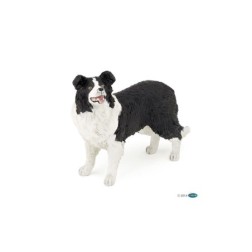 54008-border-collie