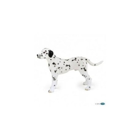 dalmatien