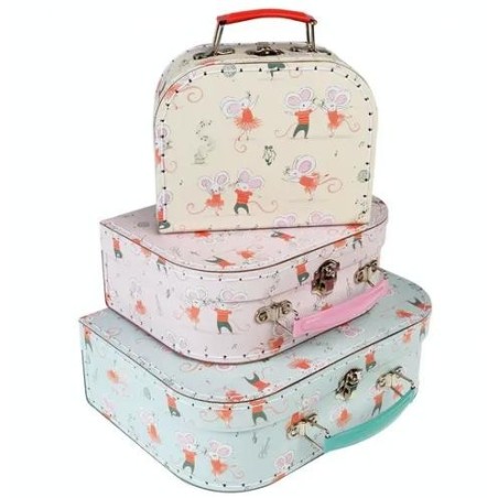 Valise de rangement