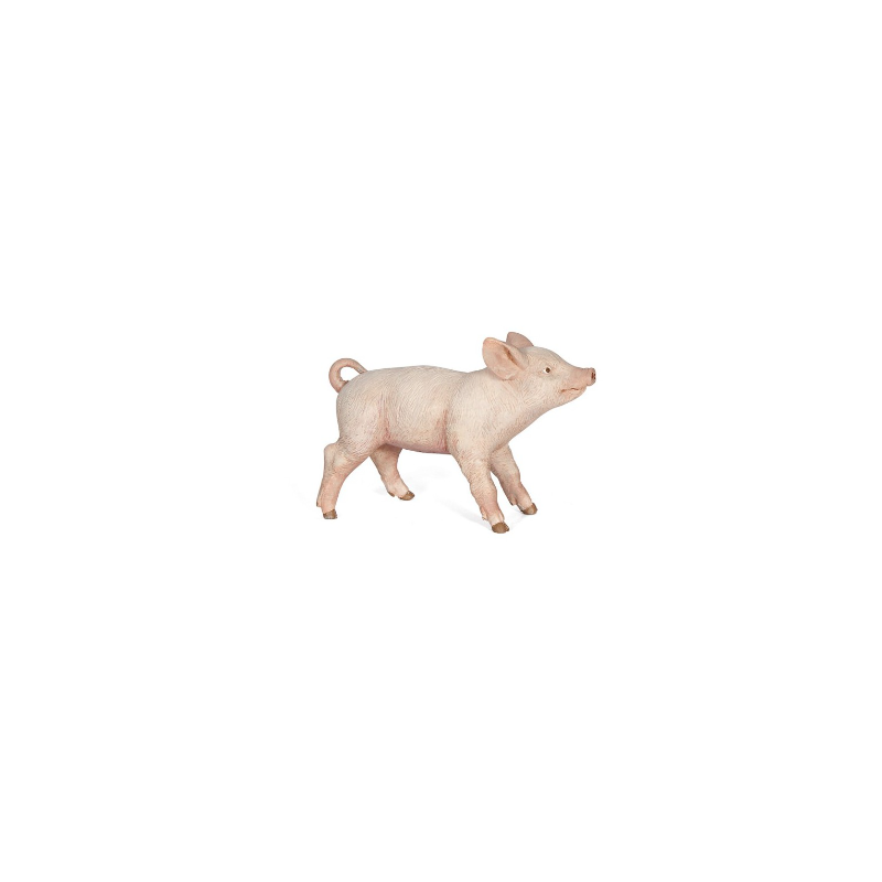 COCHONNET FEMELLE