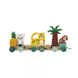 J08272-J08272-train-tropical-a-tirer-tropik