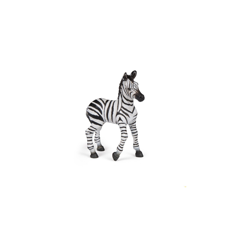 BEBE ZEBRE