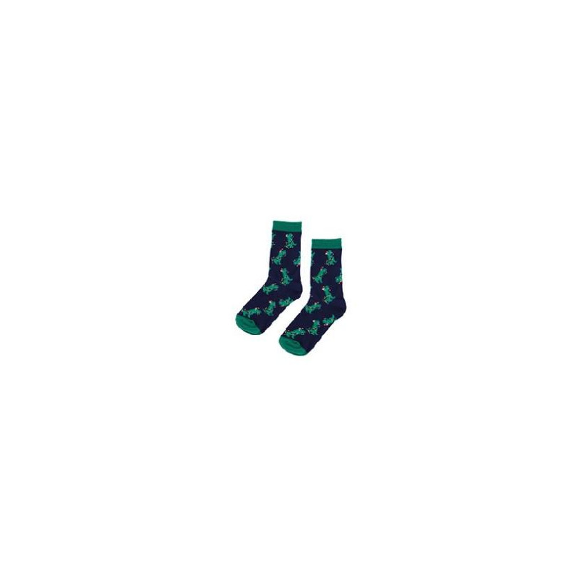 KIDS CHAUSSETTES DINO